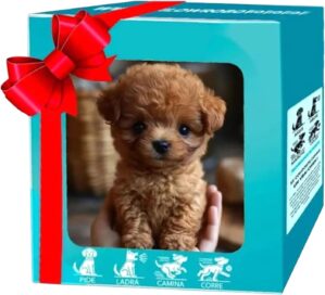 Roboterhund für Erwachsene, mein r...