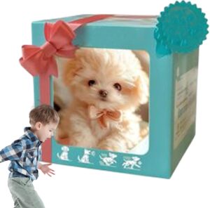 Simulierter Roboter – Haustier-re...