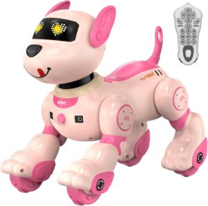 anysun Roboterhund, Roboterhund wie...