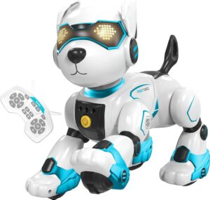 Roboterhund Kinder, ferngesteuerter...