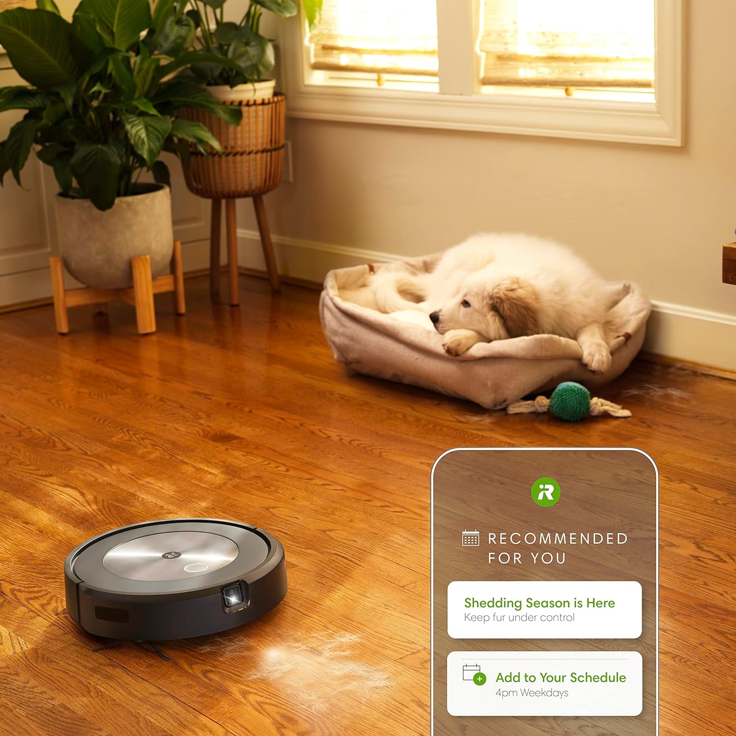 iRobot Roomba j7+ (7550) Self-Emptying Robot Vacuum – Identifies and avoids obstacles like pet waste & cords, Empties itself for 60 days, Smart Mapping, Works with Alexa, Ideal for Pet Hair (Renewed) - Image 8